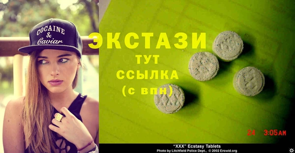 МДПВ Бородино