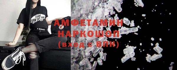 МДПВ Бородино