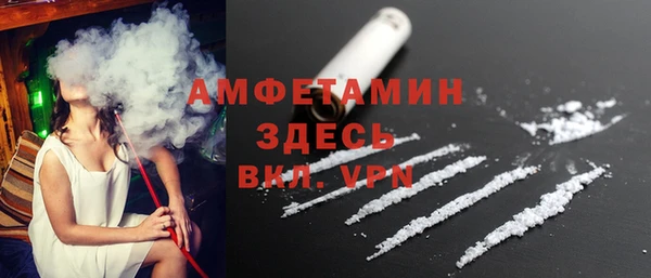 МДПВ Бородино