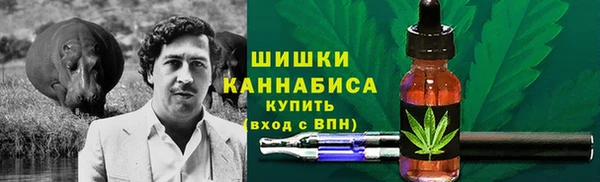 Альфа ПВП Бугульма