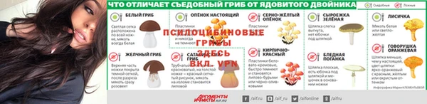МДПВ Волосово