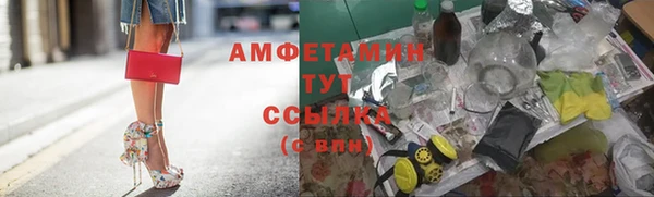 МДПВ Бородино