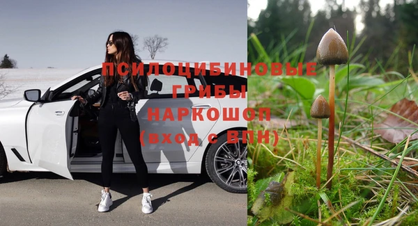 МДПВ Бородино
