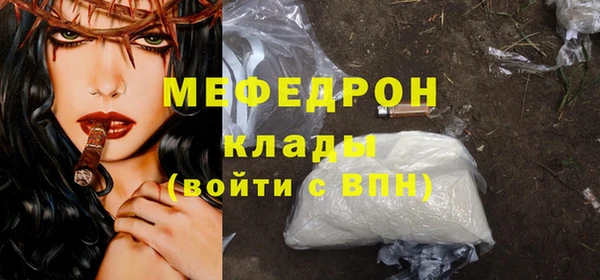 МДПВ Бородино