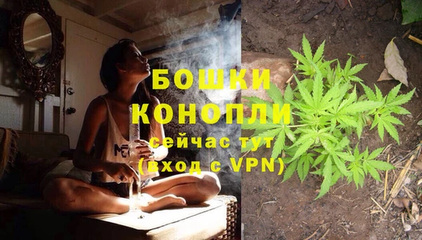 Альфа ПВП Бугульма